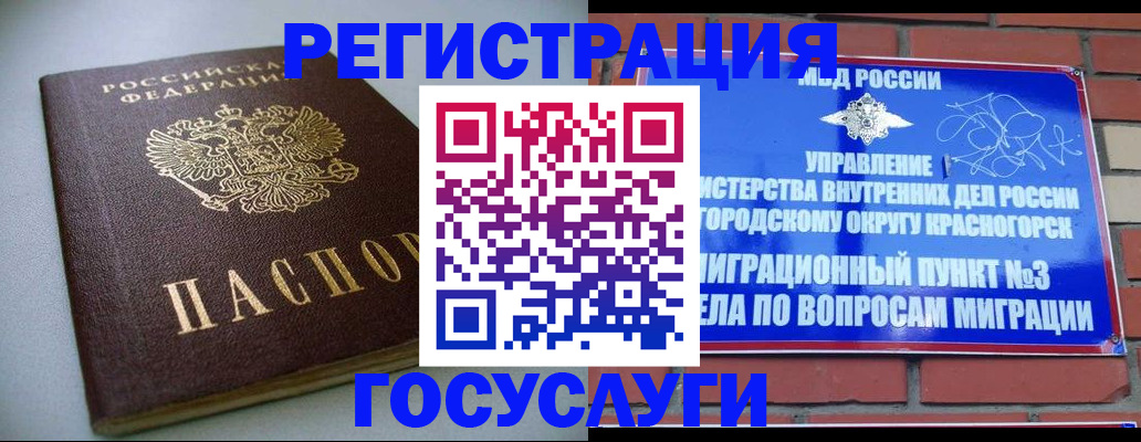 временная прописка в Волоколамске